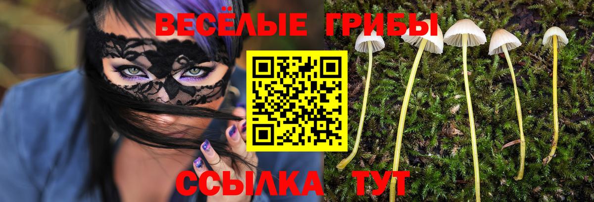 Галлюциногенные грибы GOLDEN TEACHER  наркошоп  Керчь  Вход с VPN 